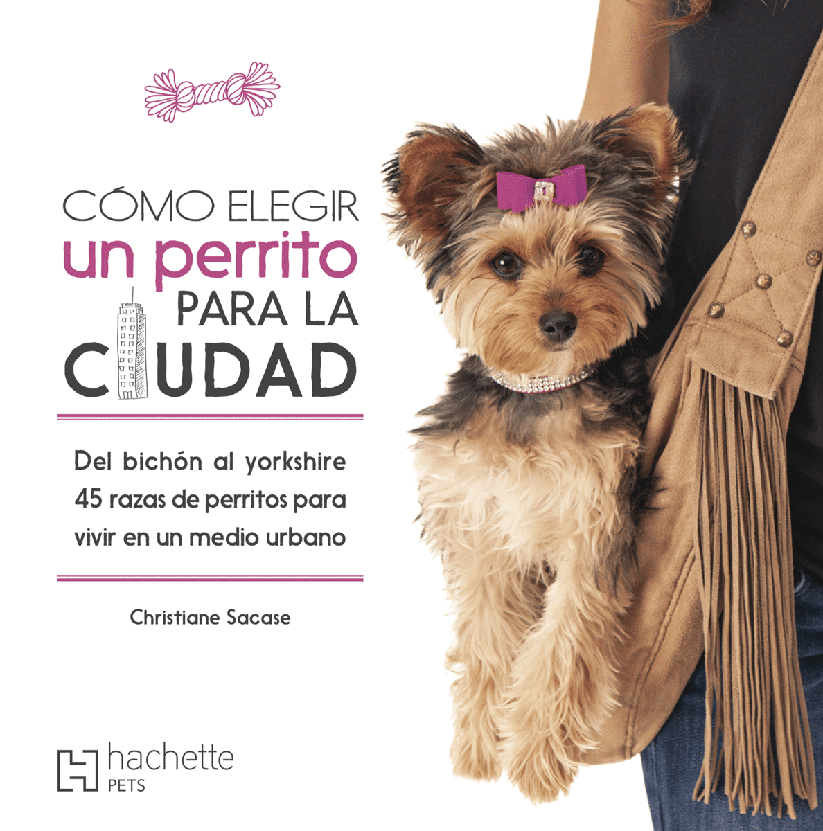 Cómo elegir un perrito para la ciudad