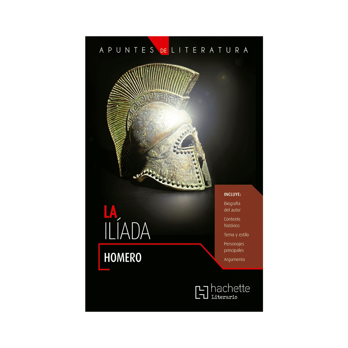 Apuntes de Literatura La Ilíada